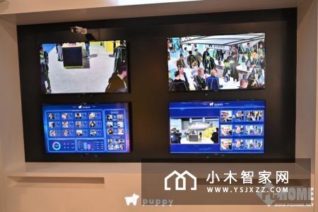 小狗机器人首次出海参加美国消费电子展