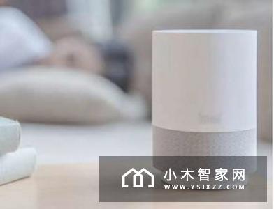 除了蓝牙和麦克风，这款Roav车充还“塞”进了天猫精灵
