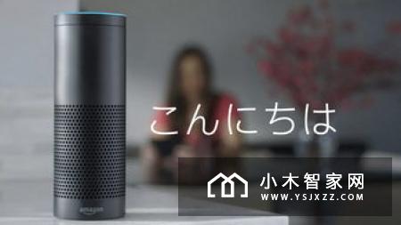 2019年一季度中国智能音箱销量达到1060万台,同比增长近500%