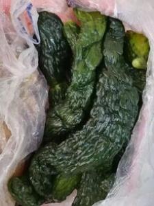 有专业厨电作后盾，你会发现做美食没有那么难