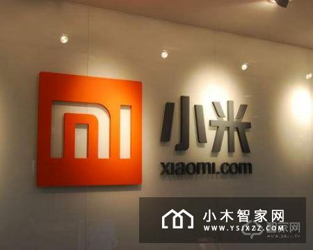 “出事”的乐视和“成功”的小米：二者有何不同？