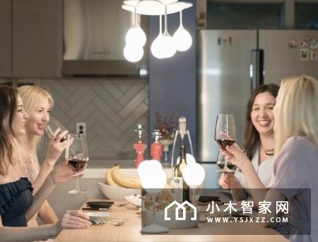 Doolight智能吊灯来了，支持Alexa语音控制和无线充电
