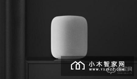 谷歌和亚马逊垄断美国智能音箱市场 苹果份额仅有4%