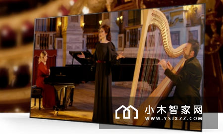 索尼发布AF9和ZF9旗舰电视：网飞看剧优化、大师级画质