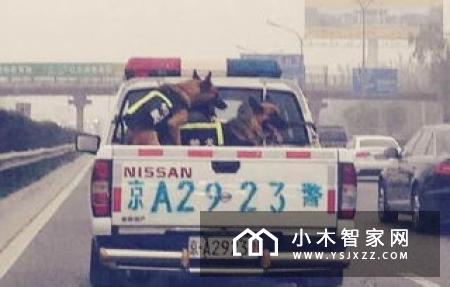小爱同学上线“实时查公交”功能