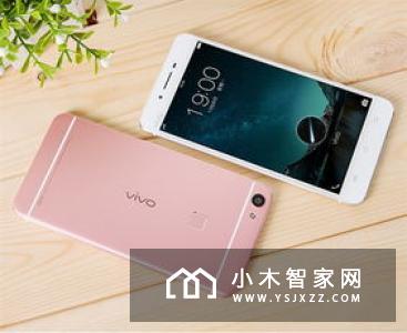 “出事”的乐视和“成功”的小米：二者有何不同？