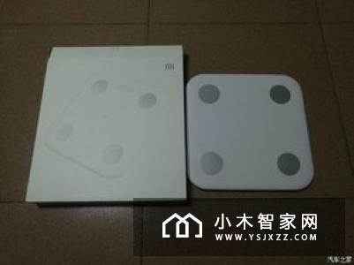 小米体脂秤评测：年轻人的私人健康教练