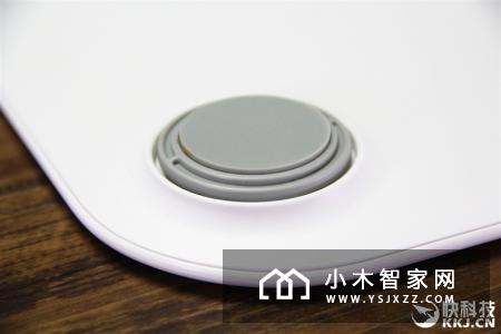小米体脂秤评测：年轻人的私人健康教练