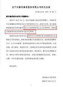 暴风集团再跌停 高管已全部辞职