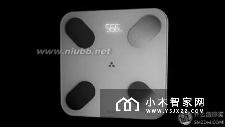 小米体脂秤评测：年轻人的私人健康教练