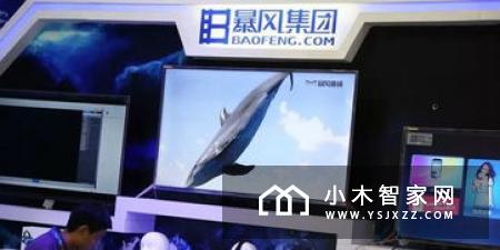 暴风集团再跌停 高管已全部辞职