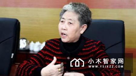 揭秘：小米VR眼镜背后的默默“耕耘者”