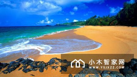 美的驶向深海